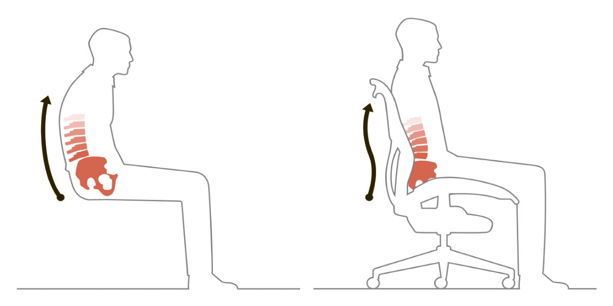 Diagram depicting the importance of correct spinal support provided by an ergonomic chair.