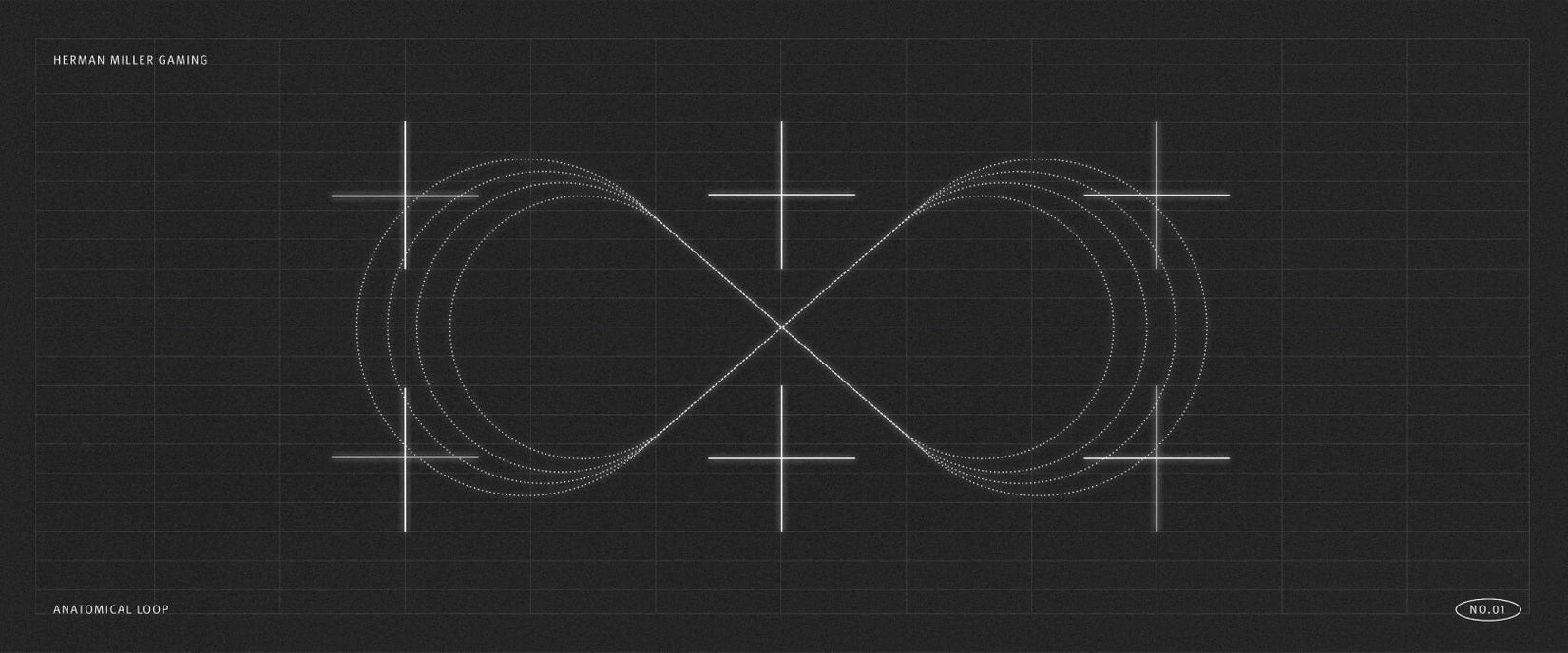 Scientific style graphic showing anatomical loop - figure of eight on its side