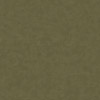 colour_Olive