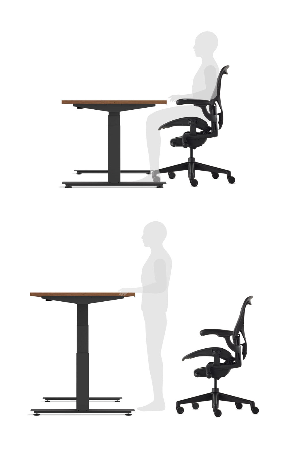 A diagram of a sit to stand office setup, showing both seated and standing configurations