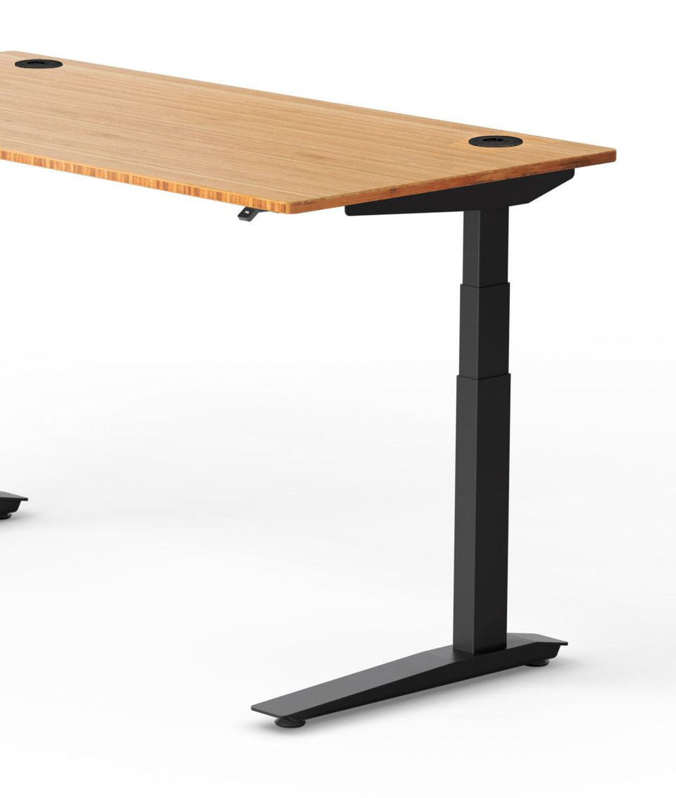 Fully Jarvis Bamboo Standing Desk
