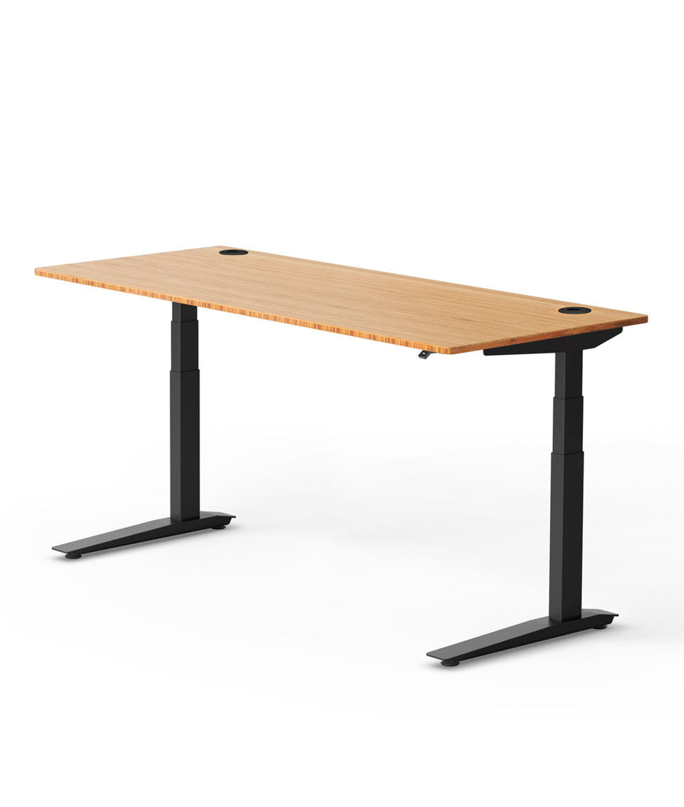Fully Jarvis Bamboo Standing Desk