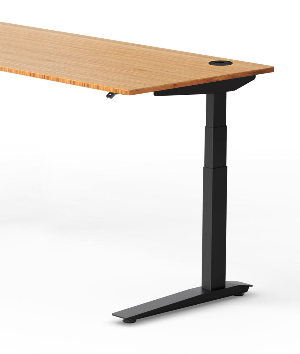 Fully Jarvis Bamboo Standing Desk