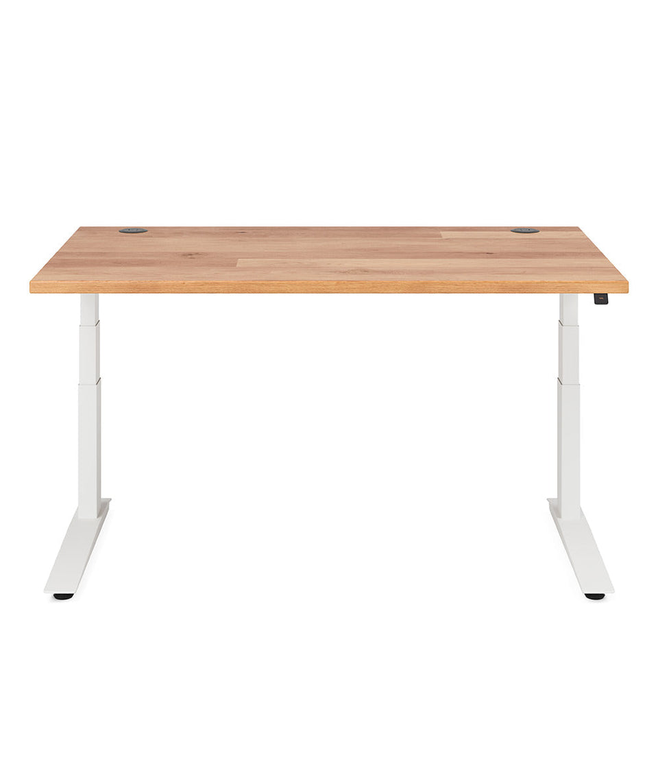 Fully Jarvis Hardwood Standing Desk