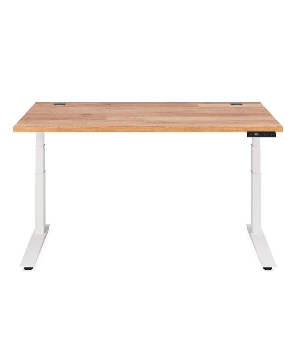 Fully Jarvis Hardwood Standing Desk