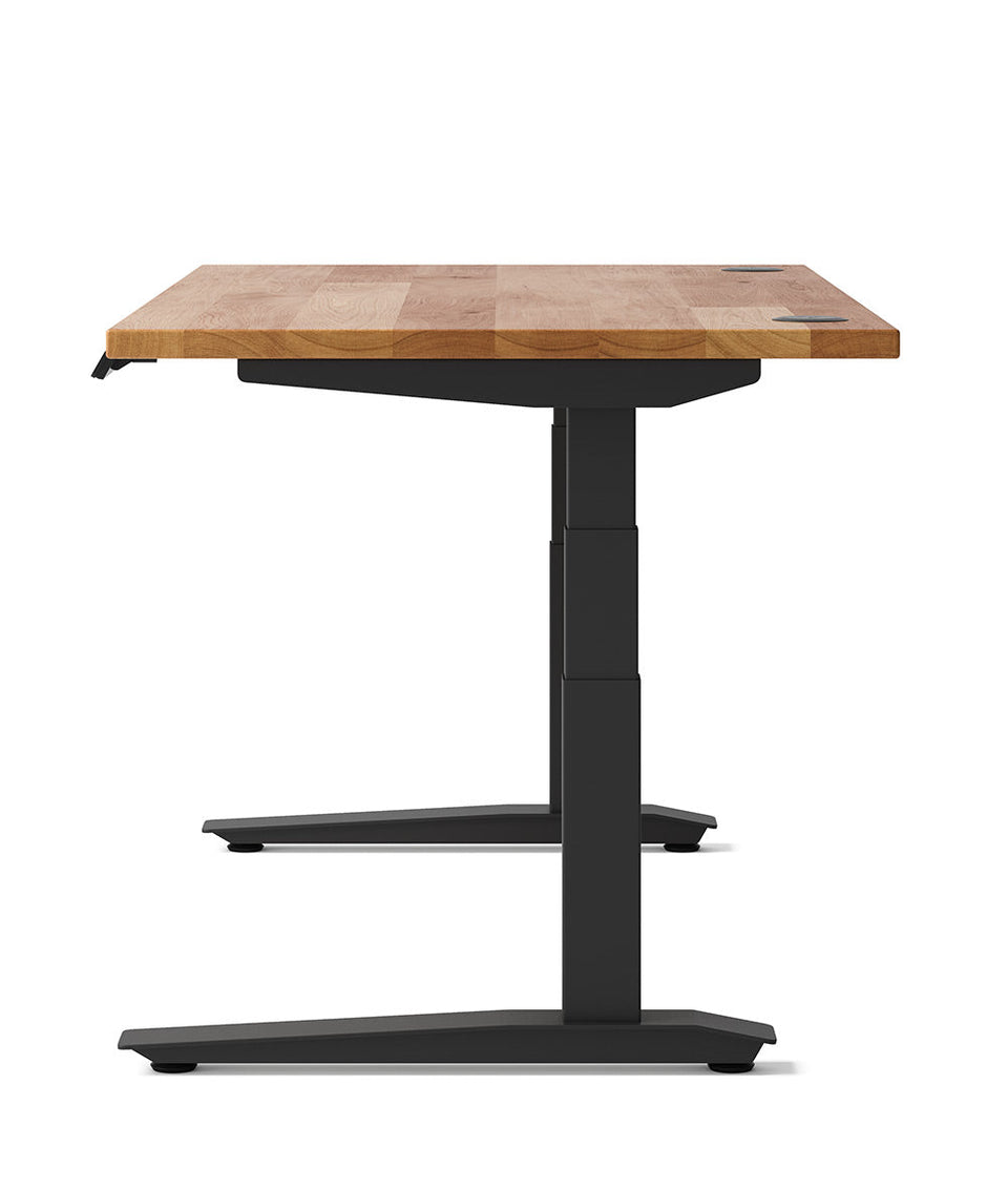 Fully Jarvis Hardwood Standing Desk