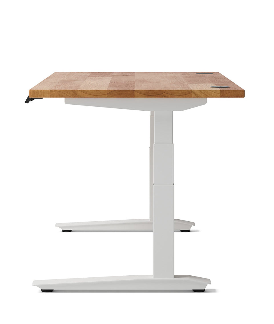 Fully Jarvis Hardwood Standing Desk