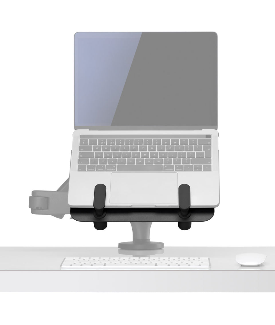 Ollin Laptop and Tablet Mount