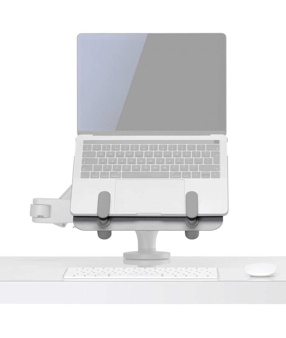 Ollin Laptop and Tablet Mount