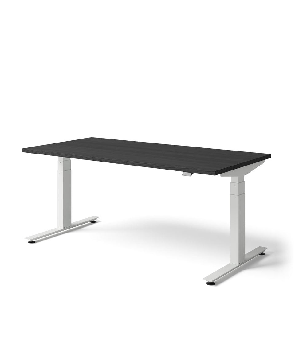 Nevi Sit Stand Desk