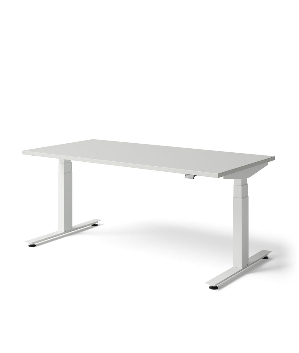Nevi Sit Stand Desk