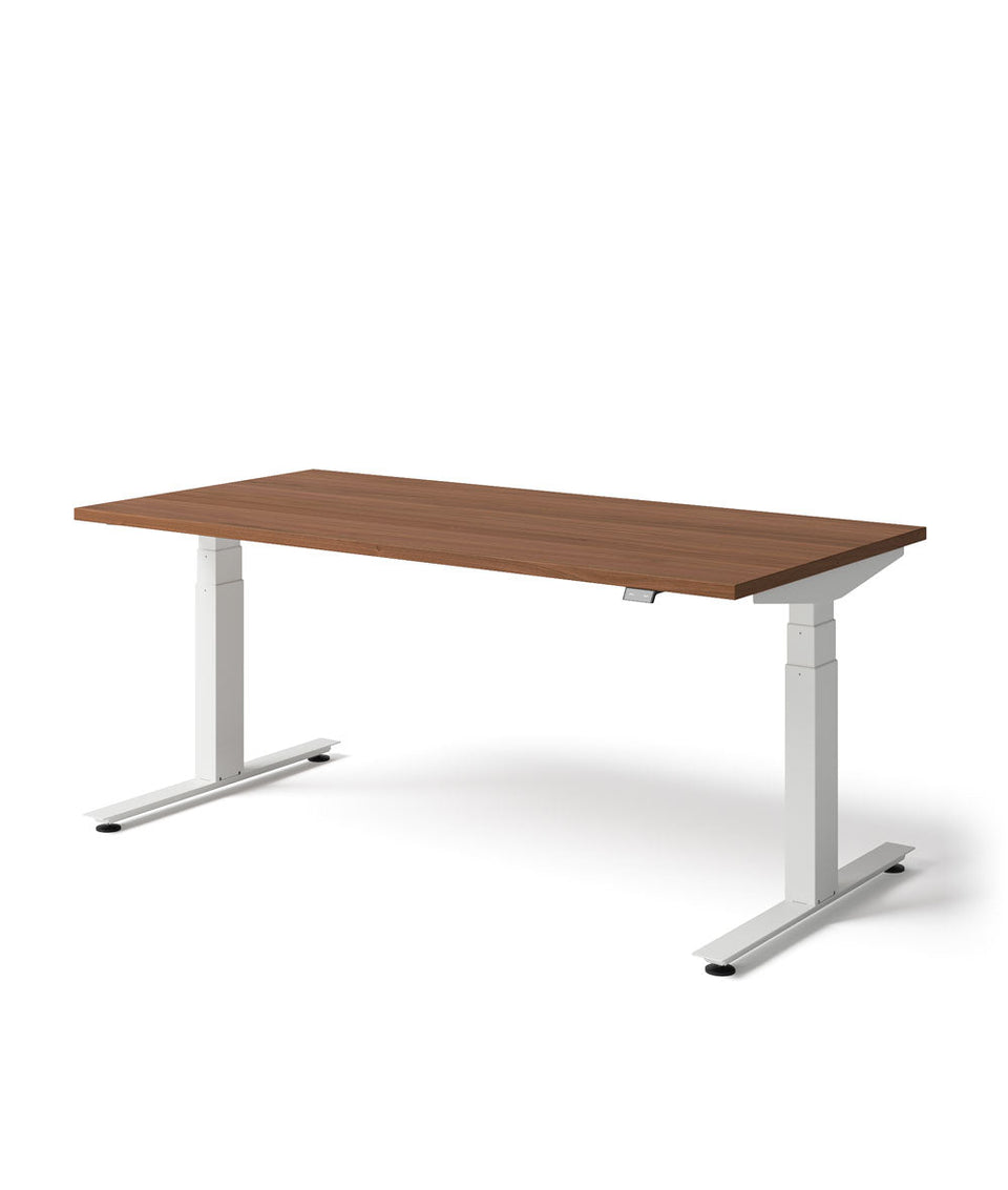 Nevi Sit Stand Desk