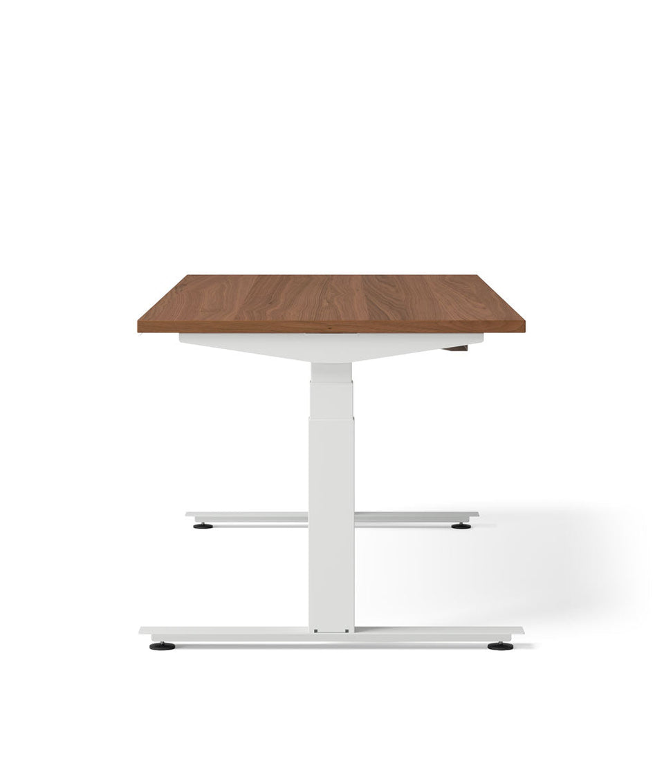 Nevi Sit Stand Desk