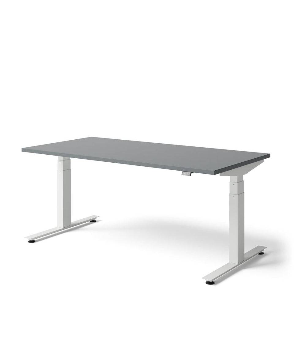 Nevi Sit Stand Desk