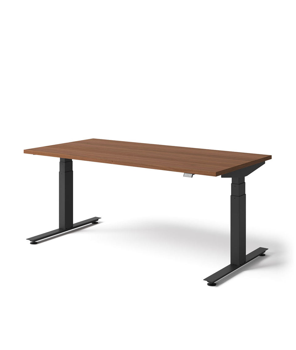 Nevi Sit Stand Desk