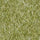 pesto